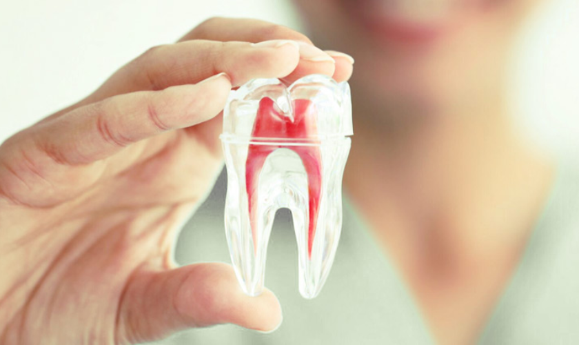 Featured image for “7 Common Signs You Need a Root Canal”